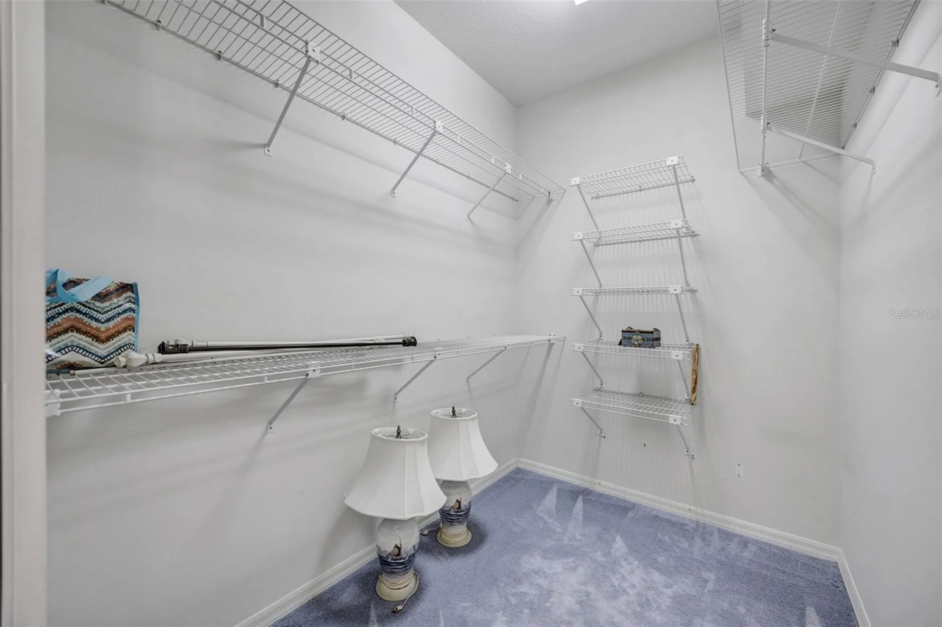 507 Surrey Lane Lutz FL 33549