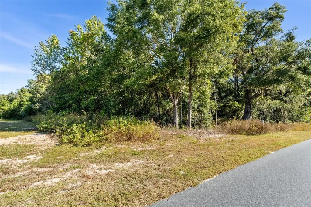 18928 SW 21st Place Newberry FL 32669