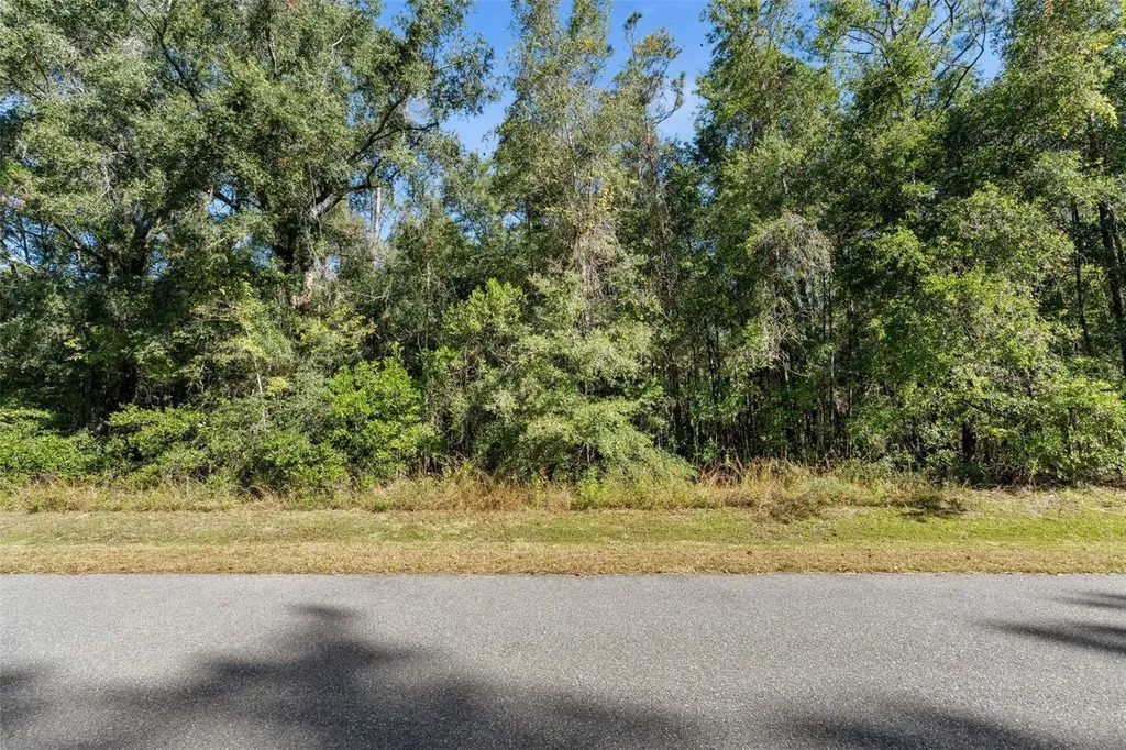 18928 SW 21st Place Newberry FL 32669