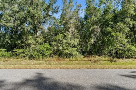 18928 SW 21st Place Newberry FL 32669