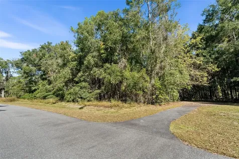 18928 SW 21st Place Newberry FL 32669