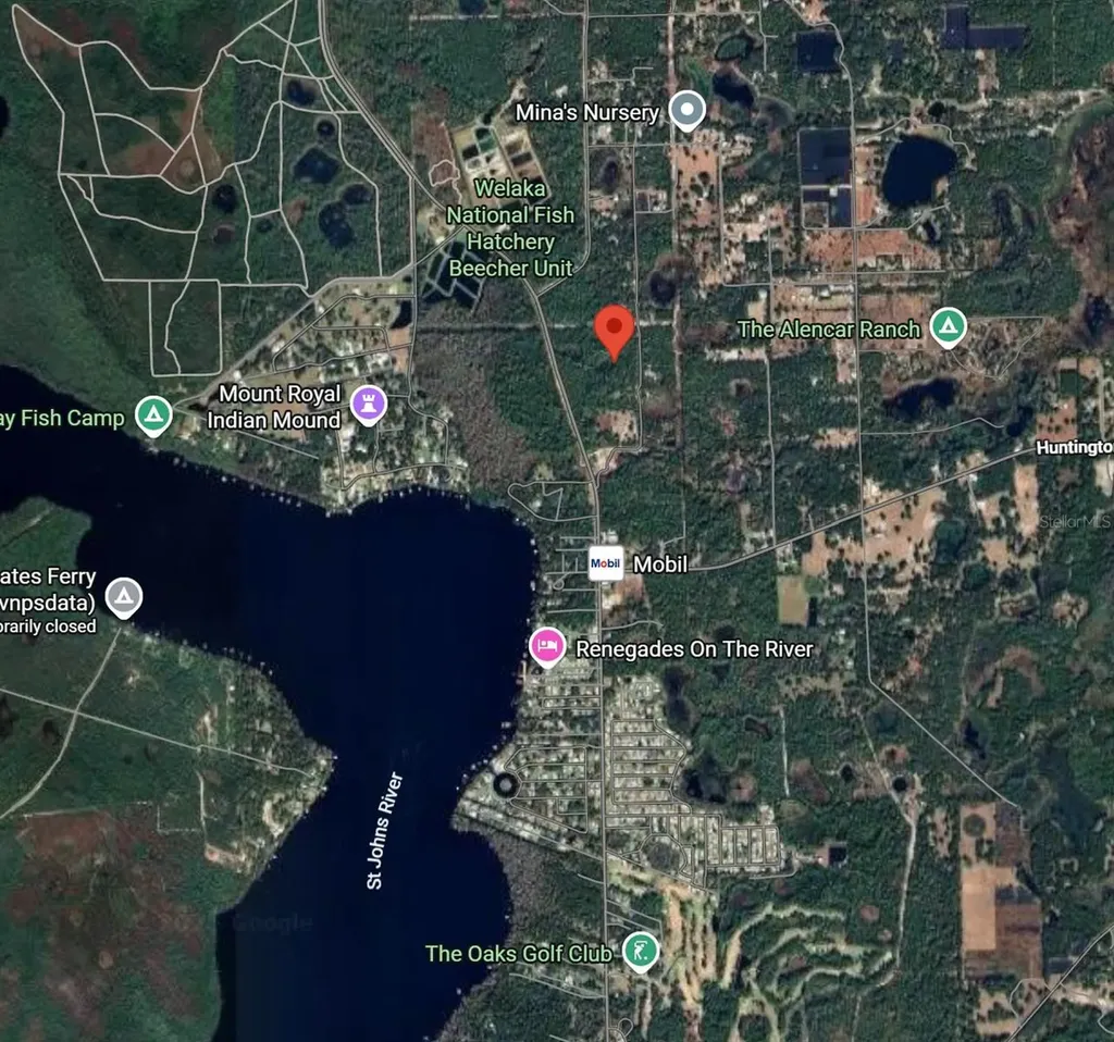 175 Oak Run Road Crescent City FL 32112