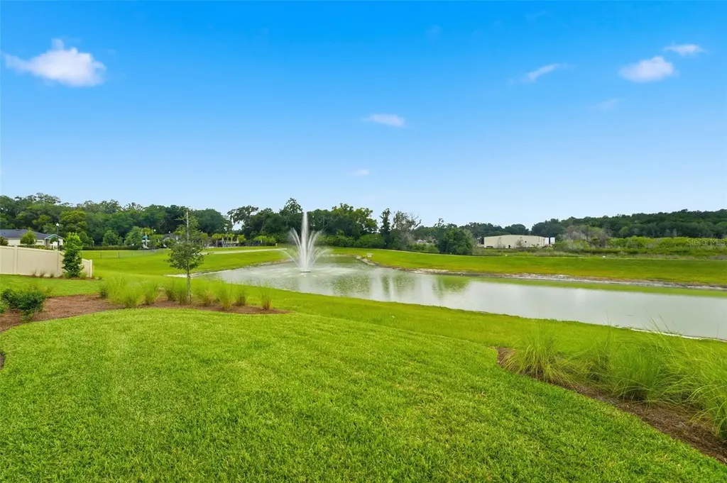 5729 Leaflet Trail Mount Dora FL 32757