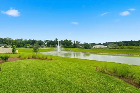 5729 Leaflet Trail Mount Dora FL 32757