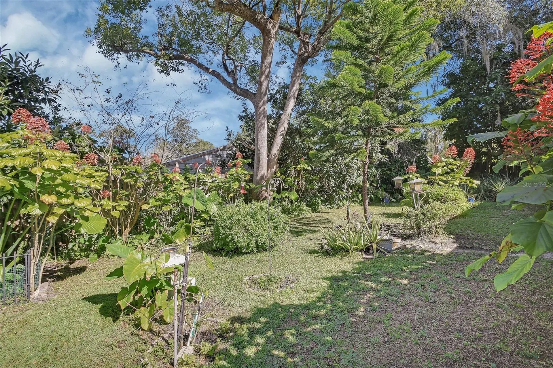 1559 W Euclid Avenue Deland FL 32720