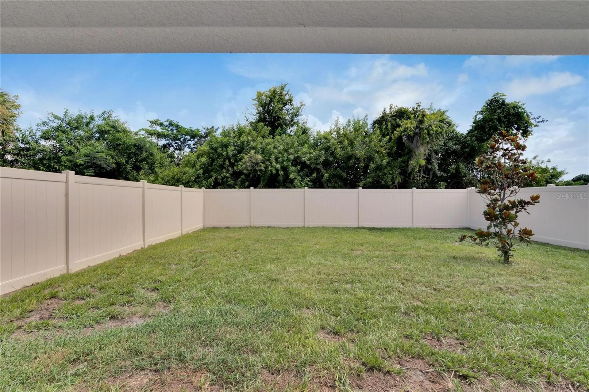 5547 Logan Cave Avenue Wimauma FL 33598