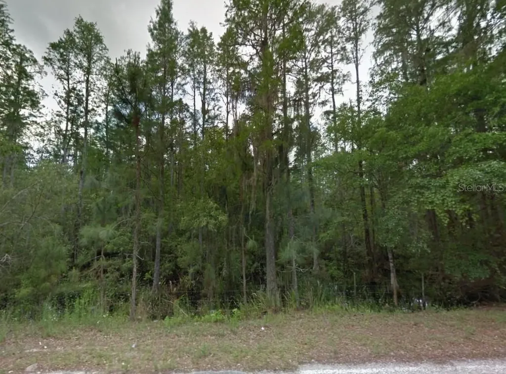 000 Poyner Road Polk City FL 33868