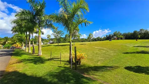 Carr. 829 Los Rodriguez Bo. Ortiz Toa Alta PR 00953