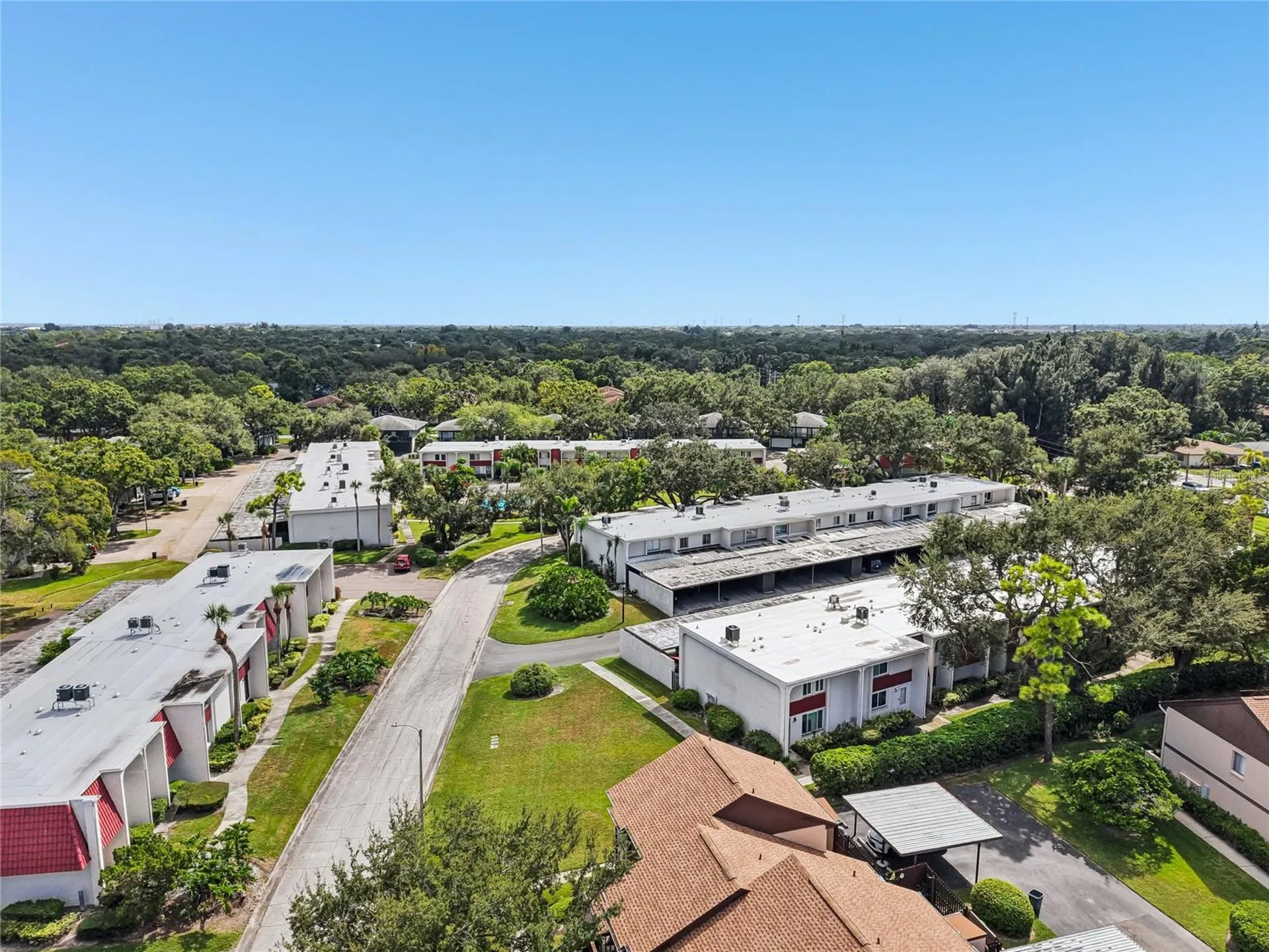 2906 Lichen Lane Clearwater FL 33760