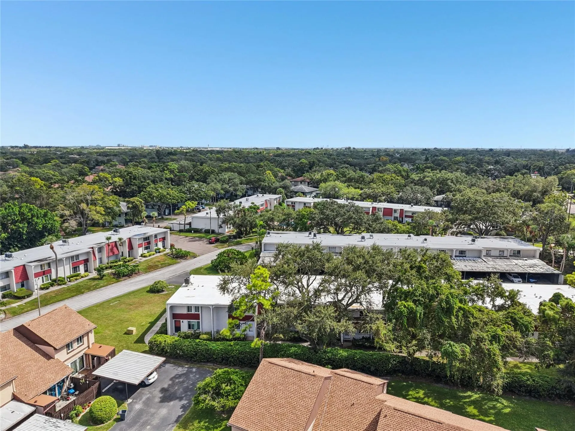 2906 Lichen Lane Clearwater FL 33760