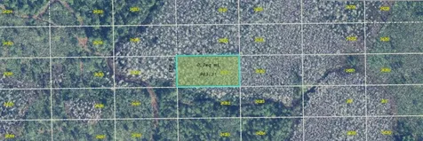 Dill Road Orlando FL 32820