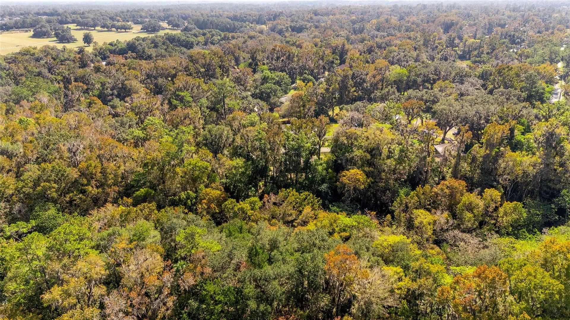 541 SW 35th Street Ocala FL 34471