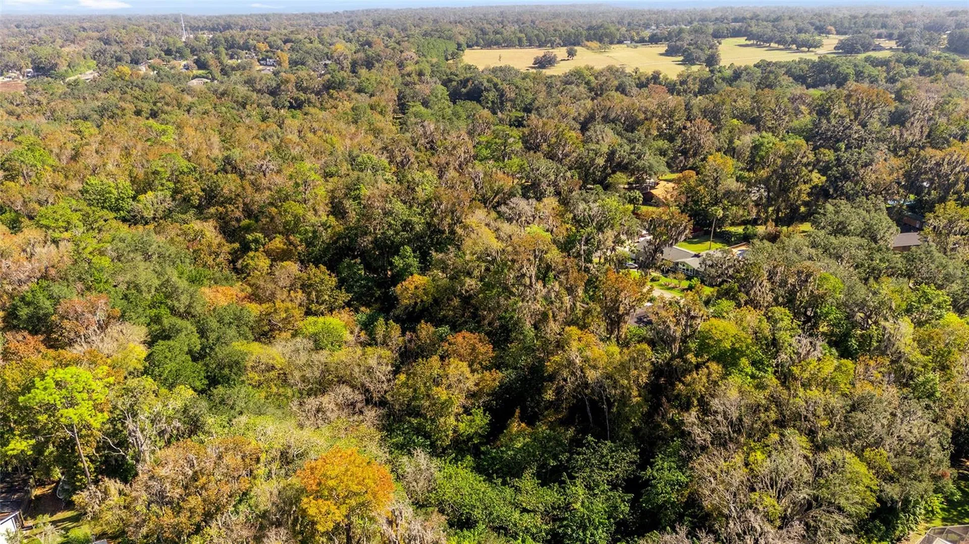 541 SW 35th Street Ocala FL 34471