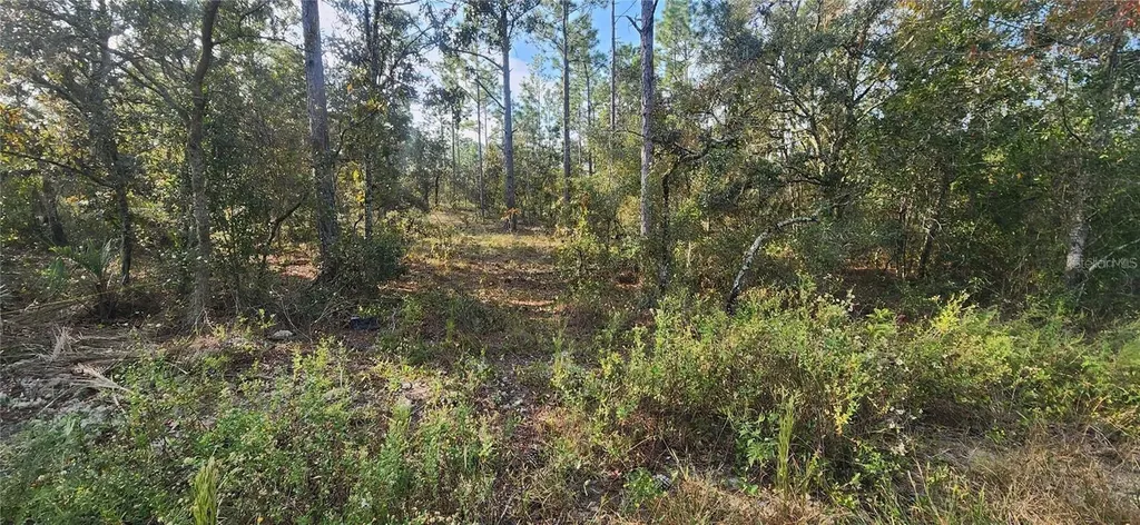 00 SW Edgewater Boulevard Dunnellon FL 34431