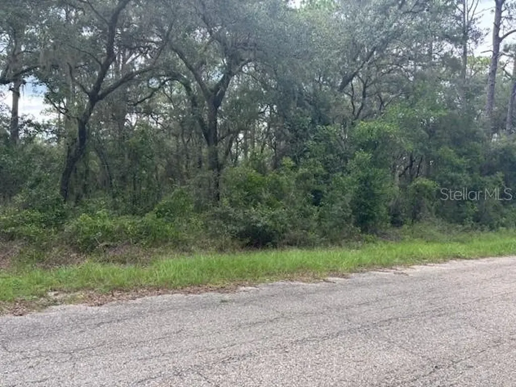 0000 SE 124th Court Dunnellon FL 34431