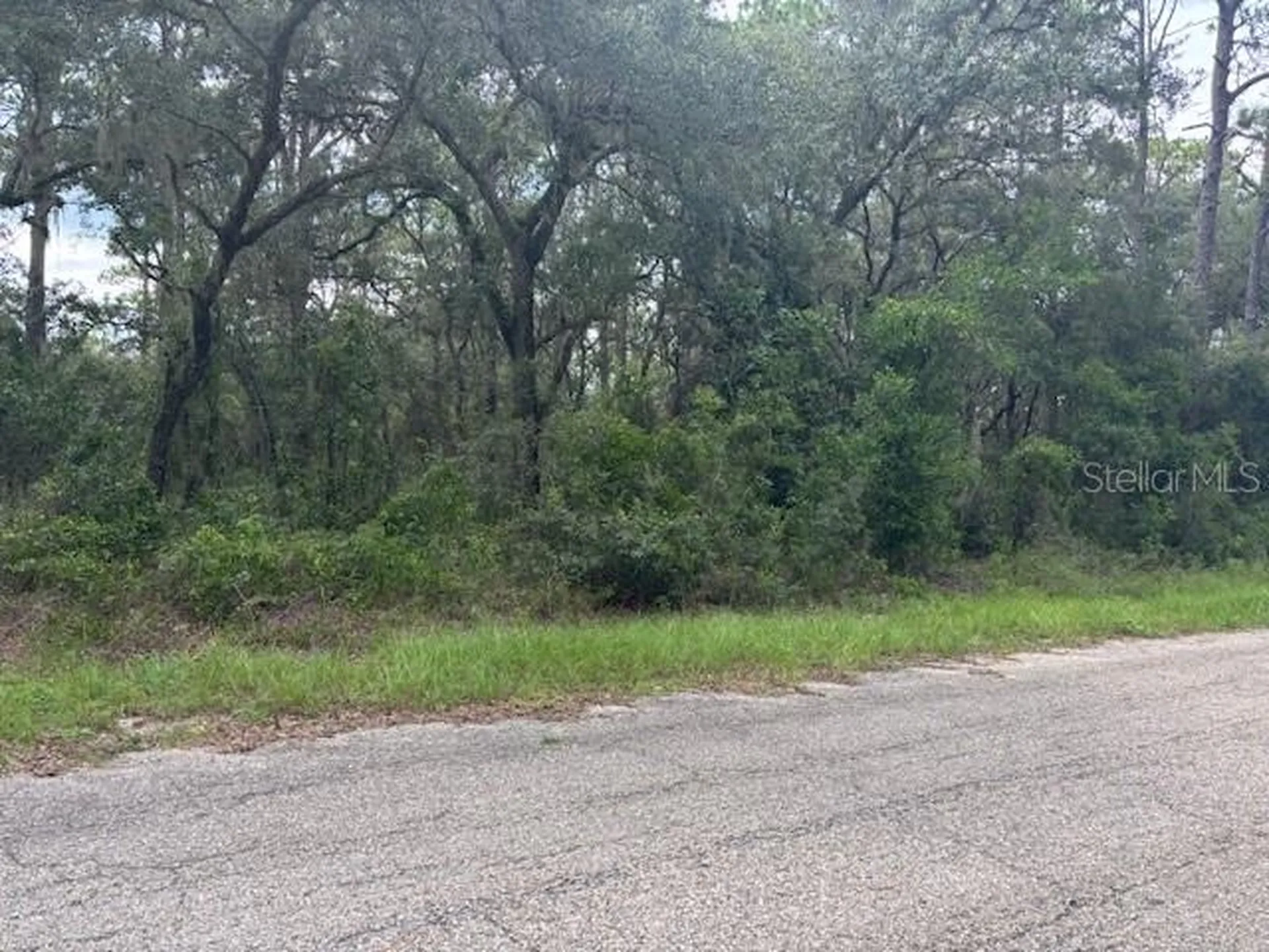 0000 SE 124th Court Dunnellon FL 34431