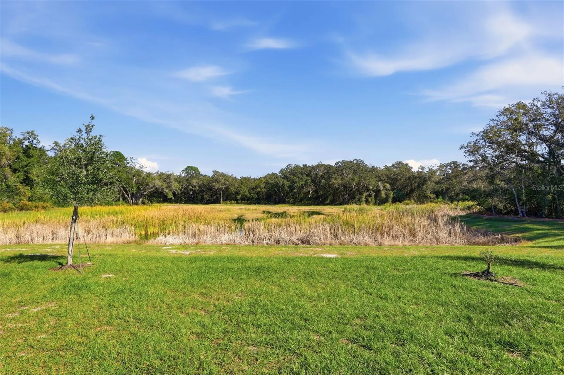 5093 Grand Teton Court Deland FL 32724