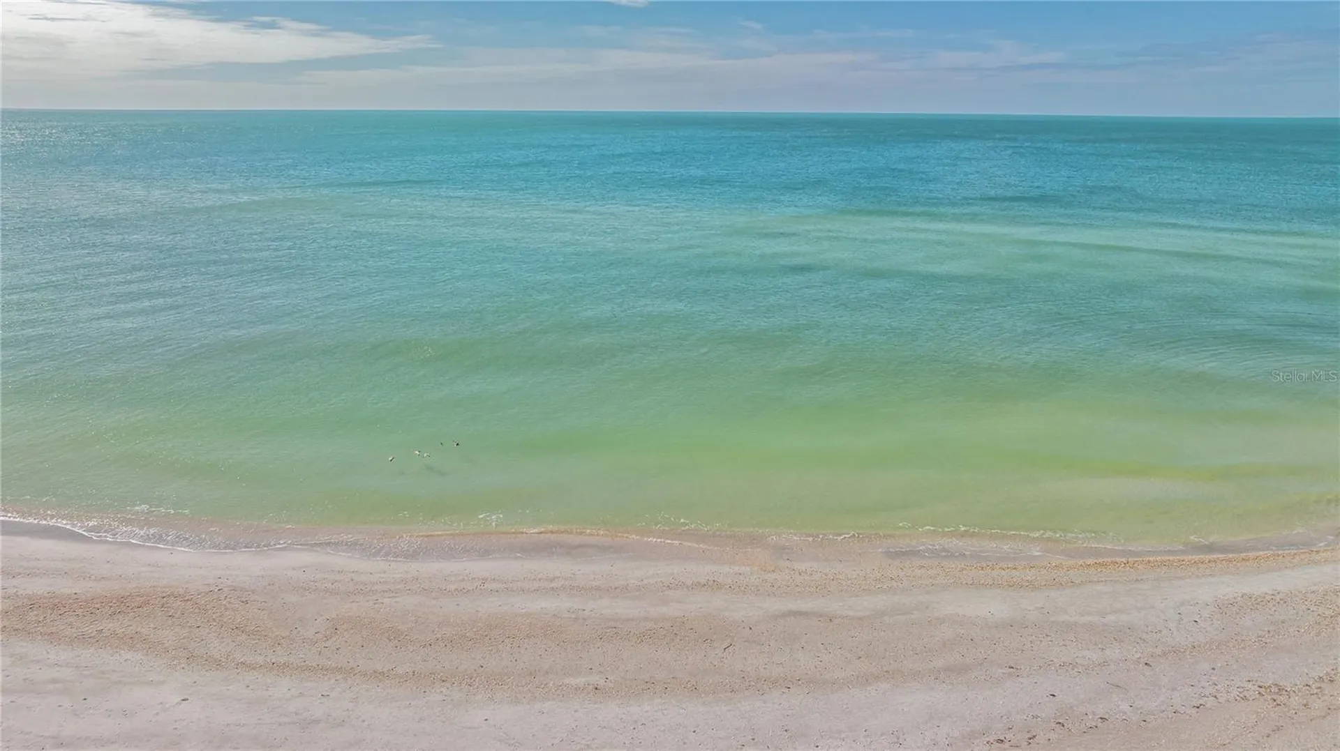 2050 Benjamin Franklin Drive Sarasota FL 34236