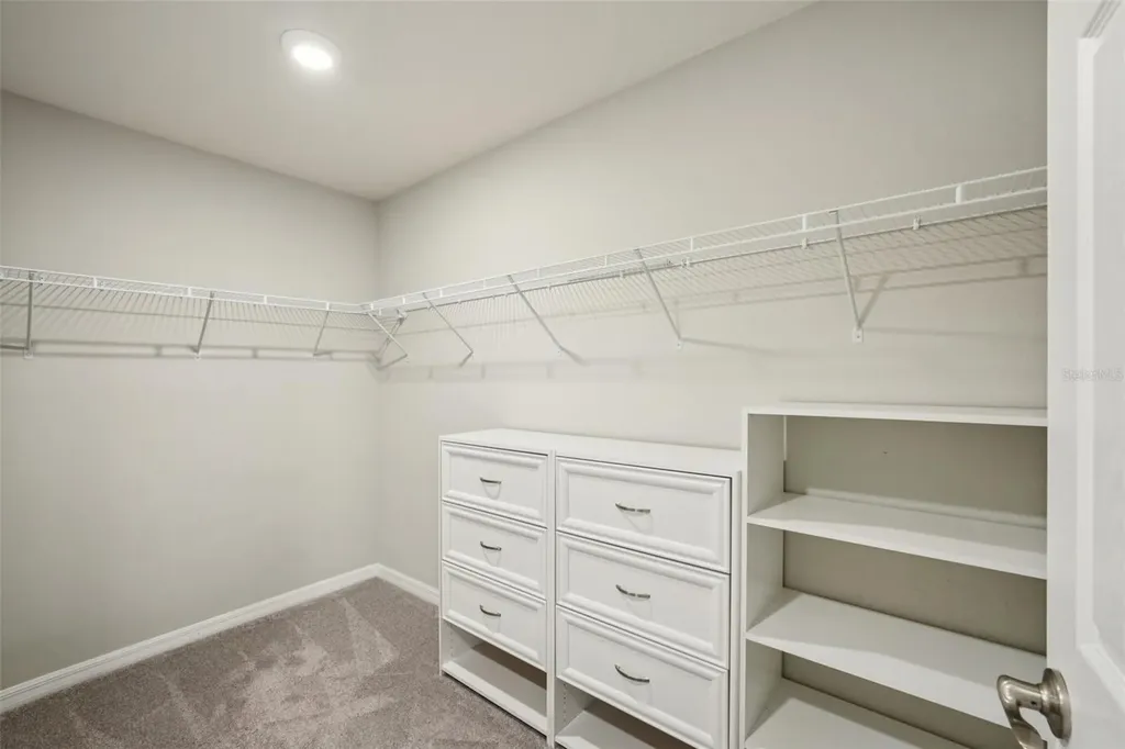 5320 Little Stream Lane Wesley Chapel FL 33545