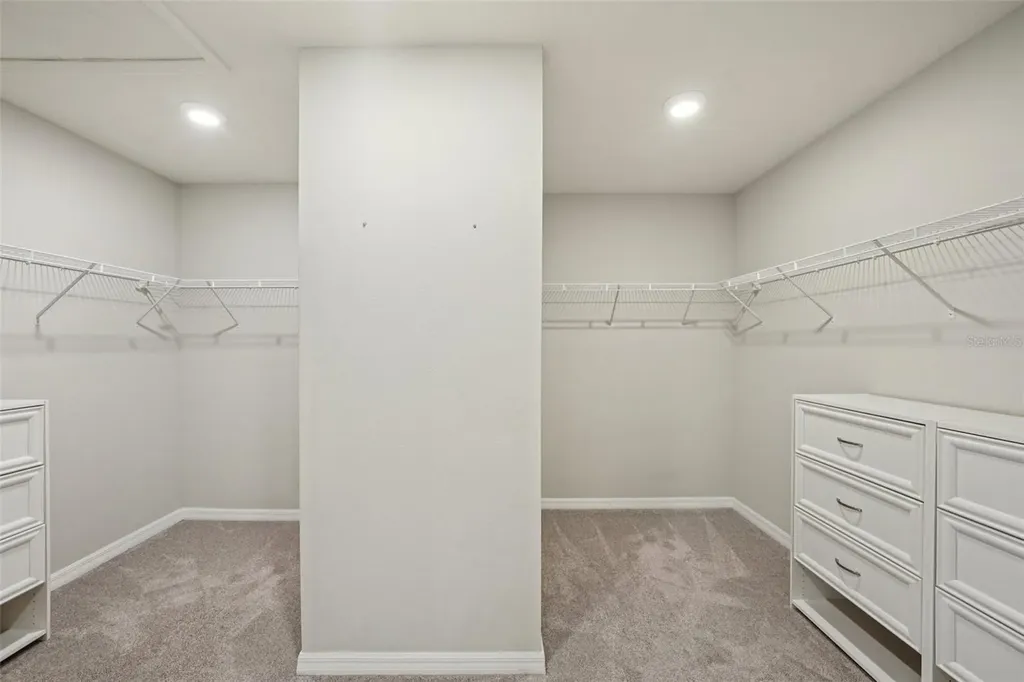 5320 Little Stream Lane Wesley Chapel FL 33545