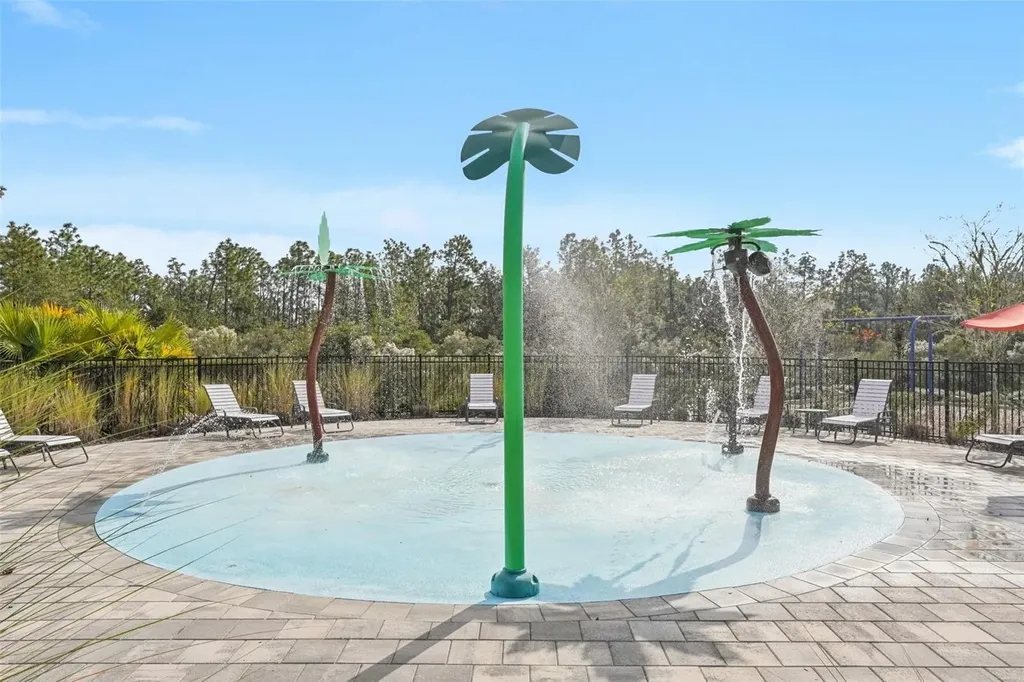 5320 Little Stream Lane Wesley Chapel FL 33545