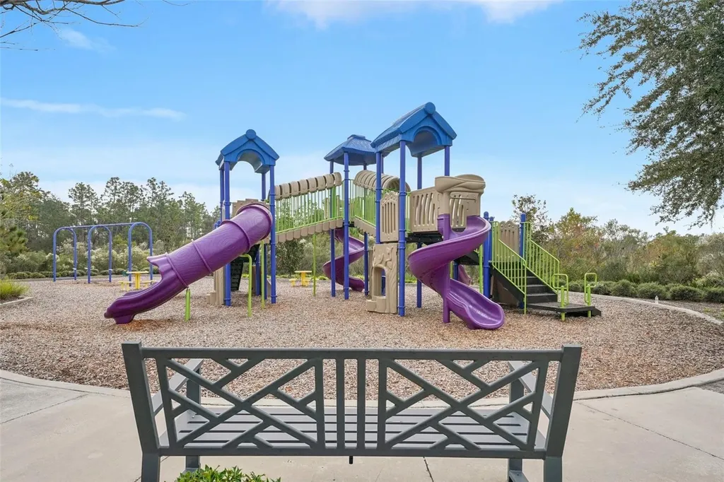 5320 Little Stream Lane Wesley Chapel FL 33545
