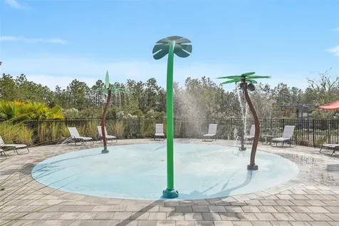 5320 Little Stream Lane Wesley Chapel FL 33545