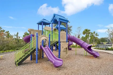5320 Little Stream Lane Wesley Chapel FL 33545