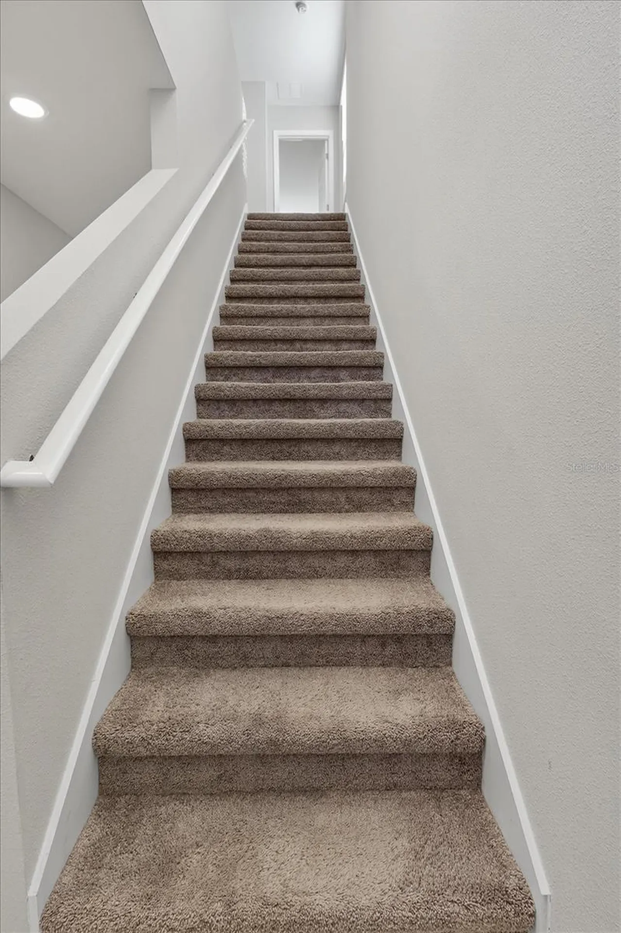 7860 Peace Lily Avenue Wesley Chapel FL 33545