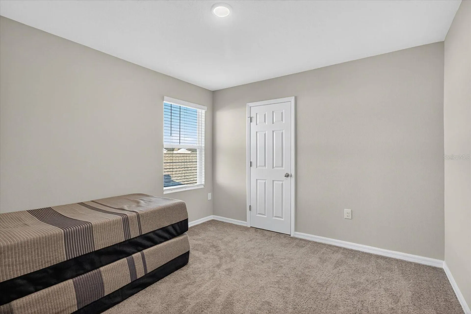 7860 Peace Lily Avenue Wesley Chapel FL 33545