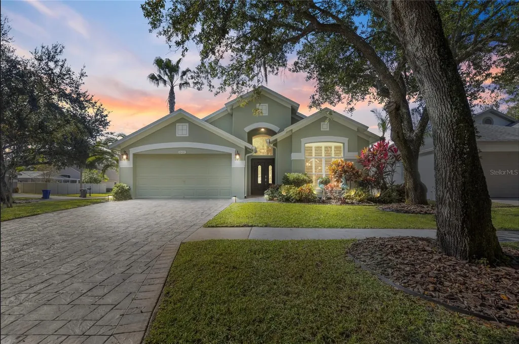 10437 Springrose Drive Tampa FL 33626