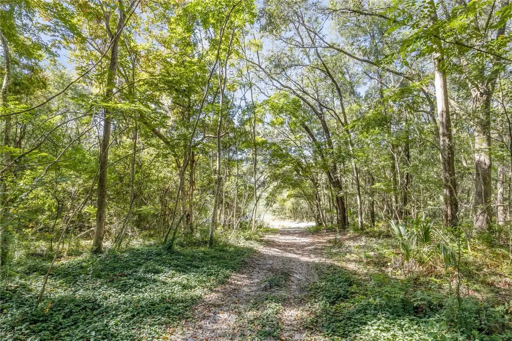 1624 Greens Dairy Road Deland FL 32720