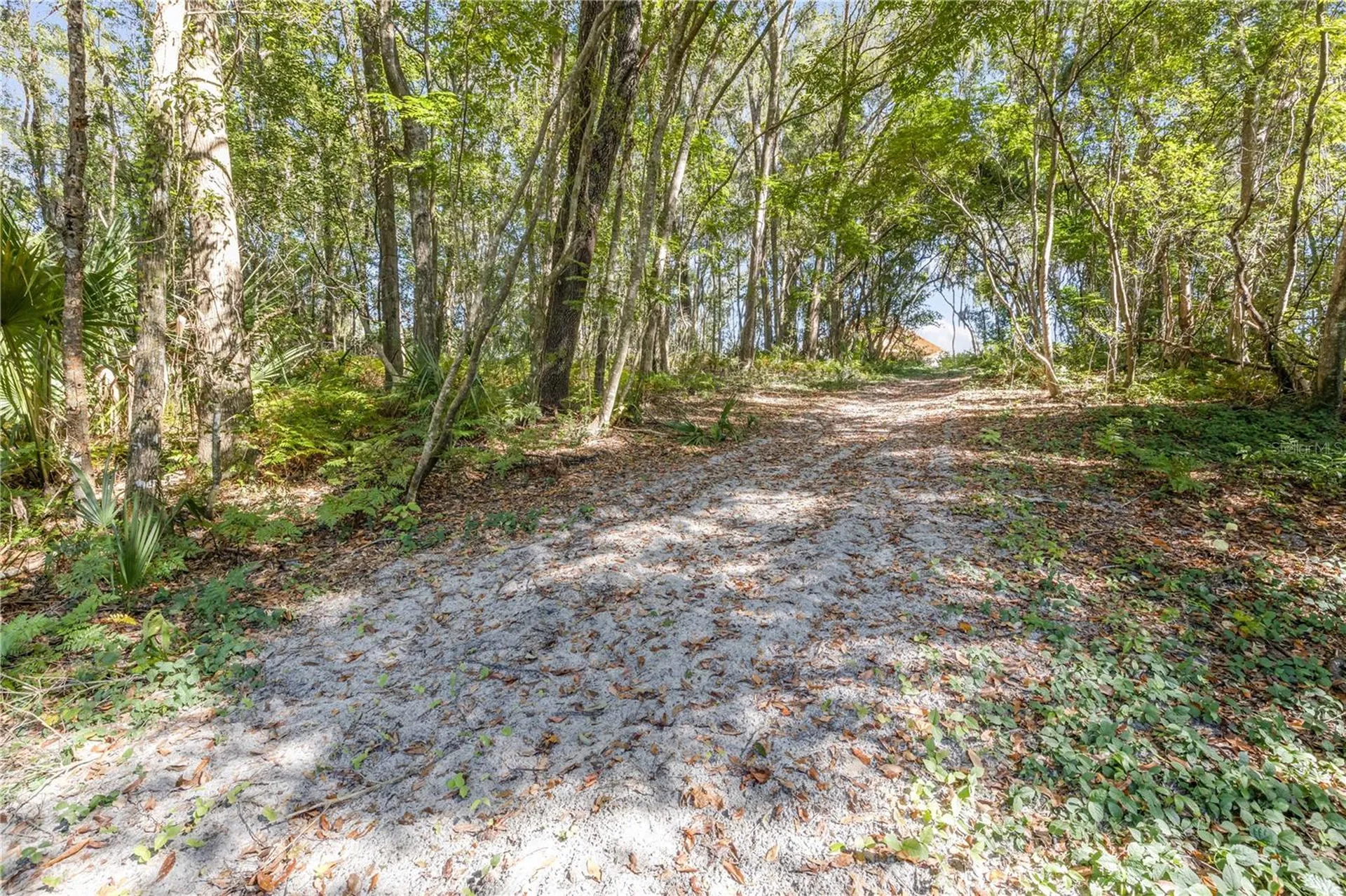 1624 Greens Dairy Road Deland FL 32720