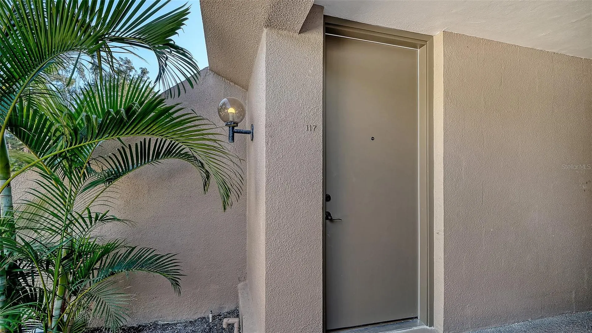 TMG TERRA MIA GLOBAL REALTY