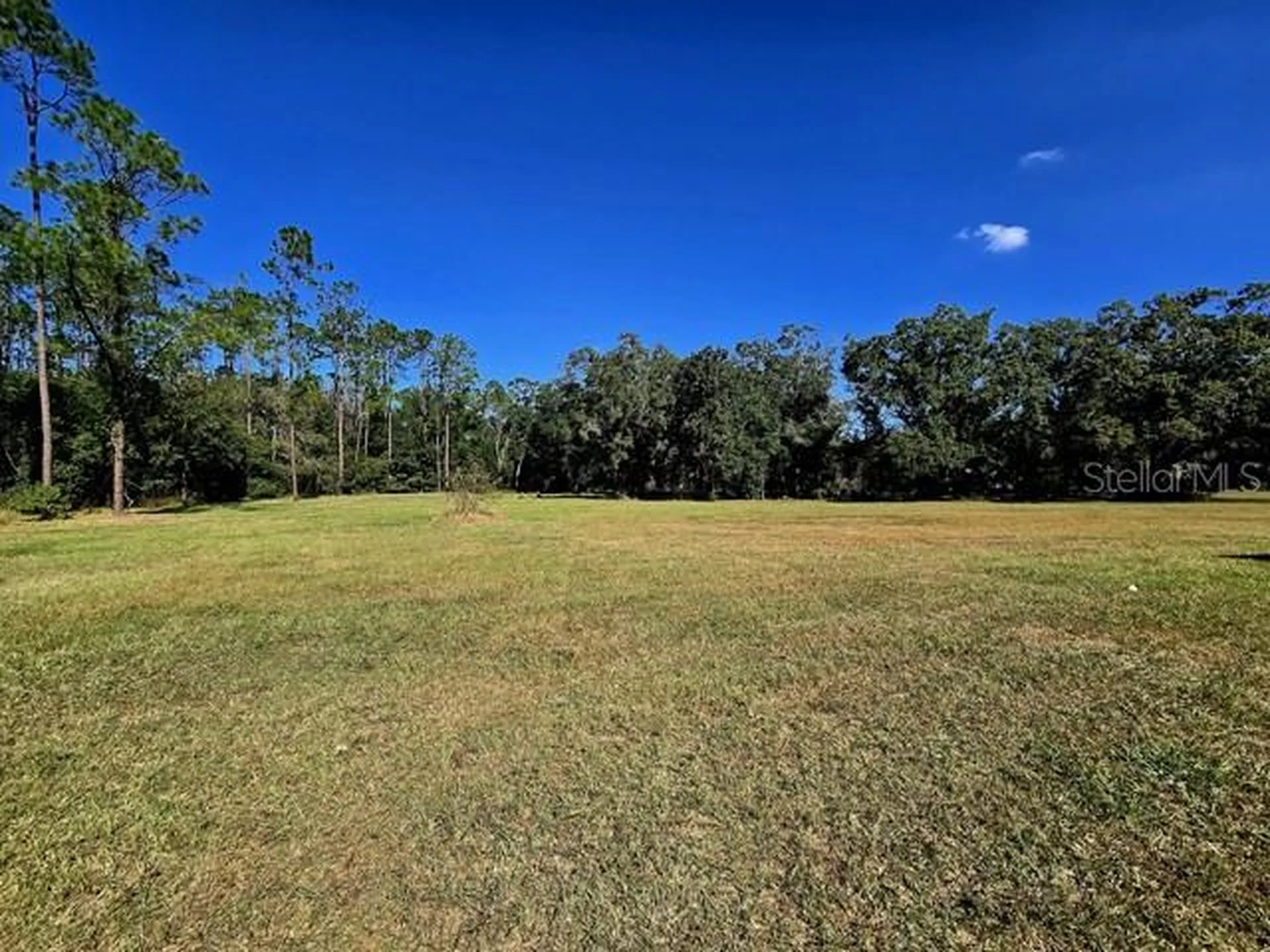 2518 Sunset Lane Lutz FL 33559