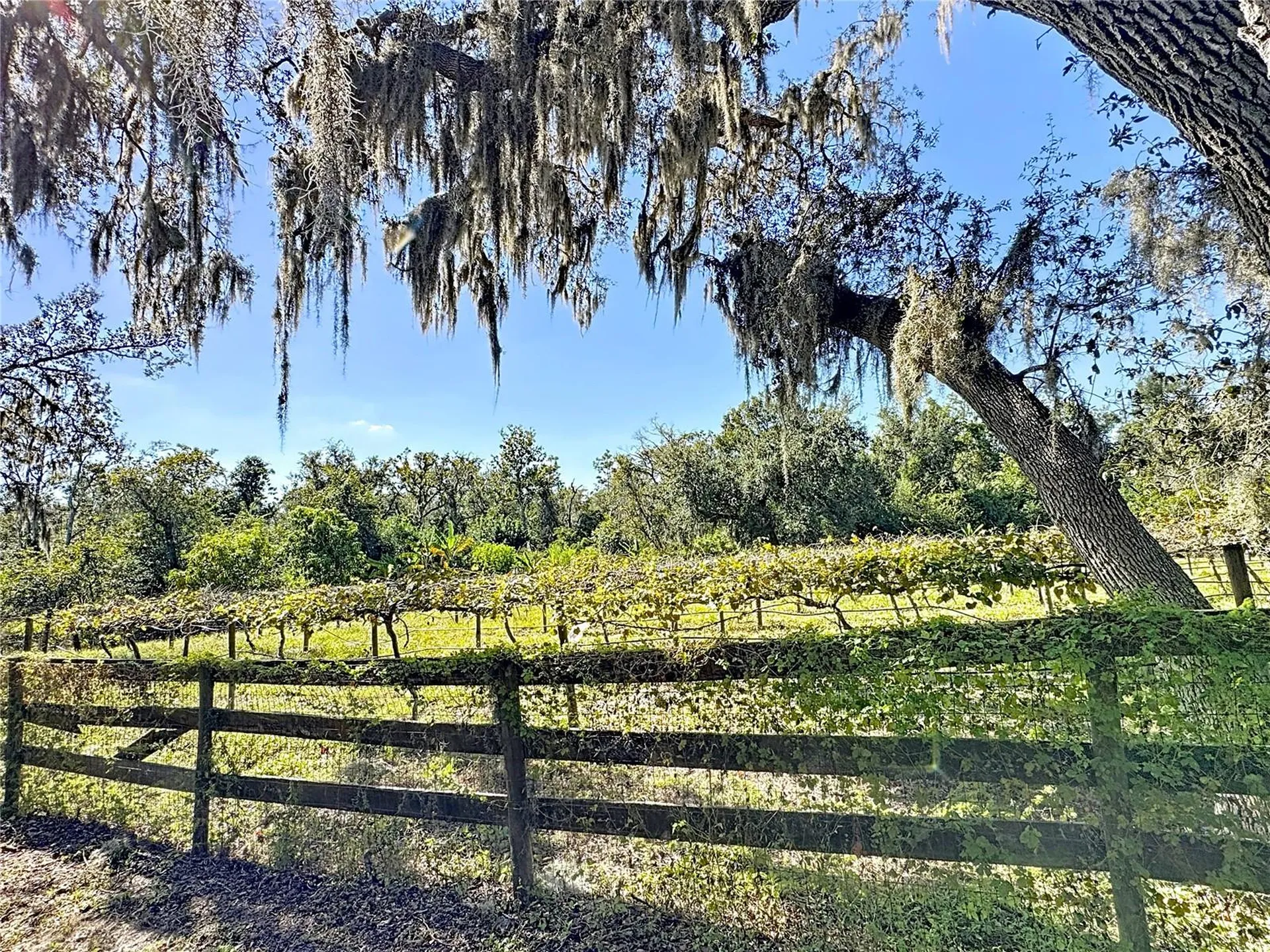 19600 E State Road 64 Bradenton FL 34212