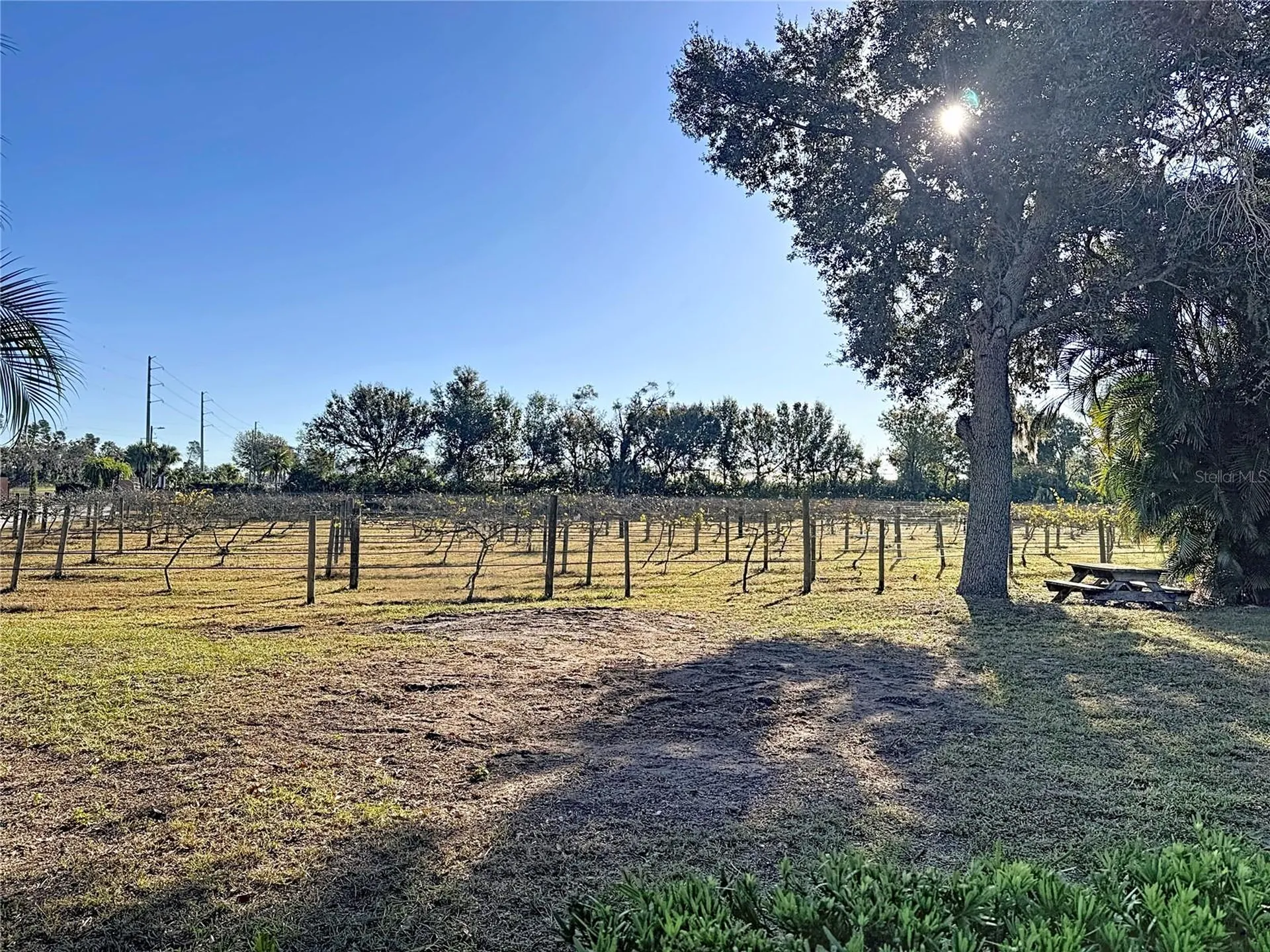 19600 E State Road 64 Bradenton FL 34212