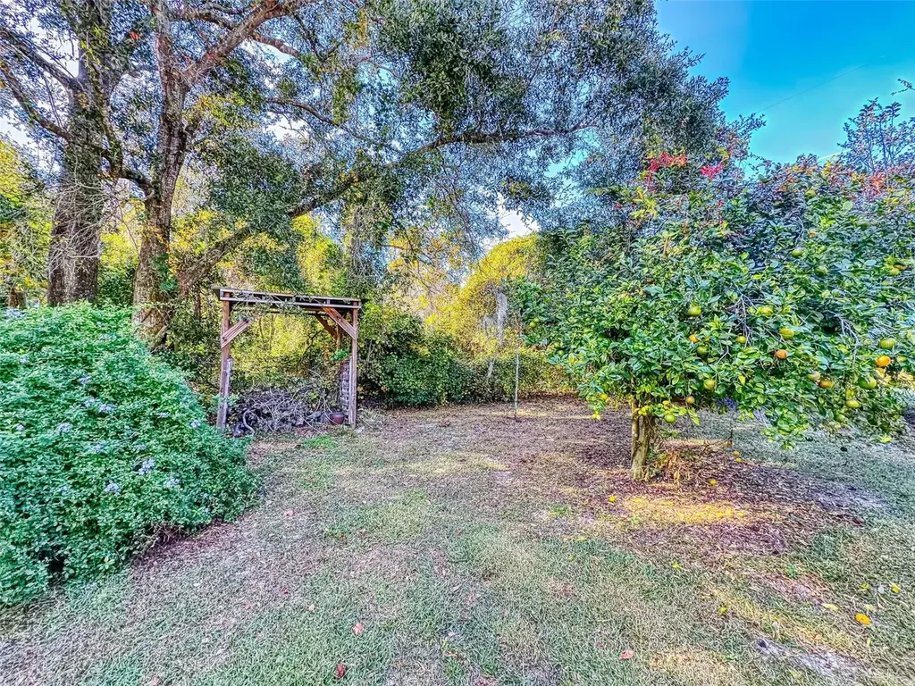 3851 Thistlewood Way Okahumpka FL 34762