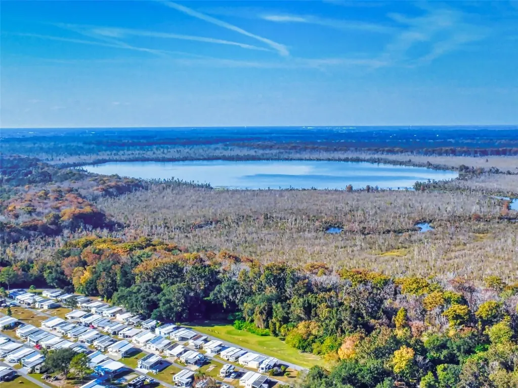 3851 Thistlewood Way Okahumpka FL 34762