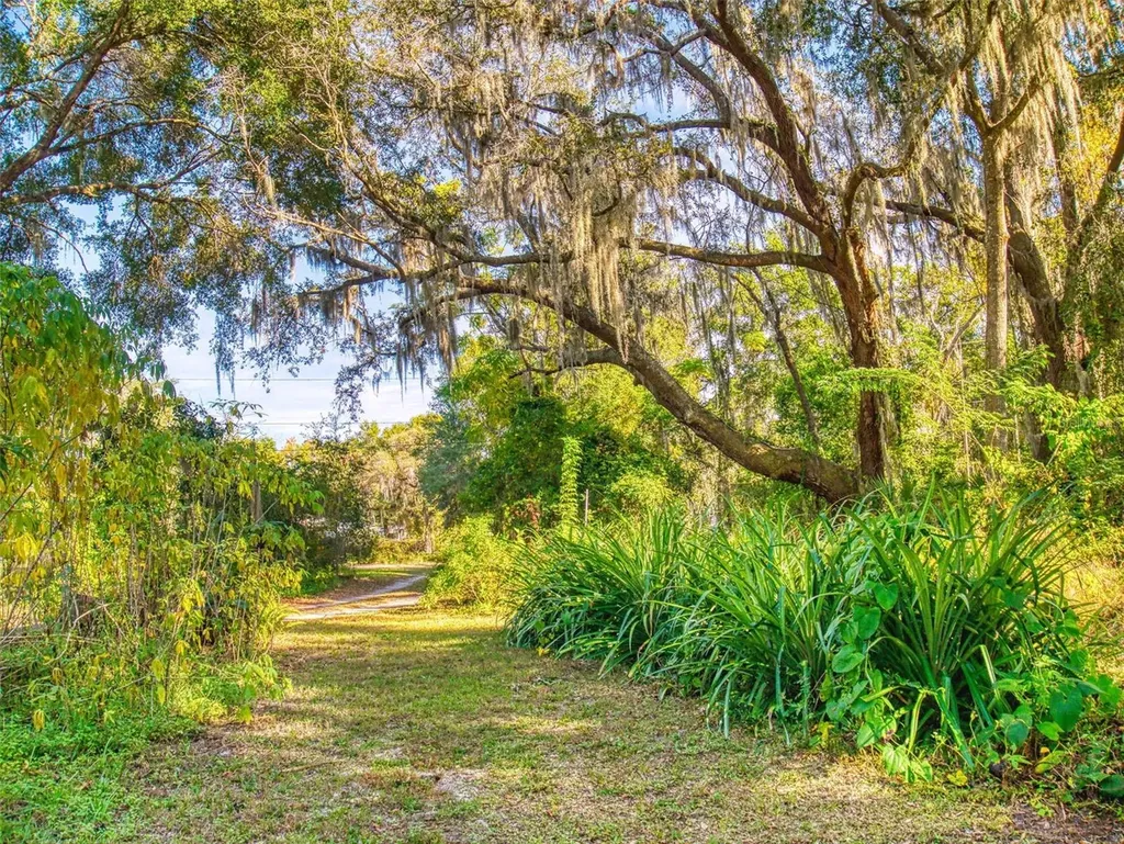 3851 Thistlewood Way Okahumpka FL 34762