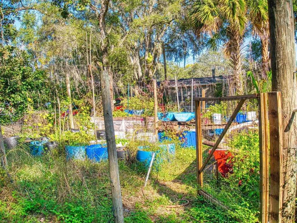 3851 Thistlewood Way Okahumpka FL 34762
