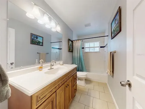 3851 Thistlewood Way Okahumpka FL 34762