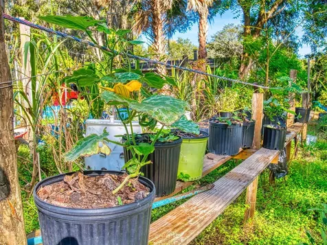 3851 Thistlewood Way Okahumpka FL 34762