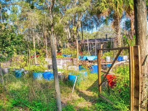 3851 Thistlewood Way Okahumpka FL 34762