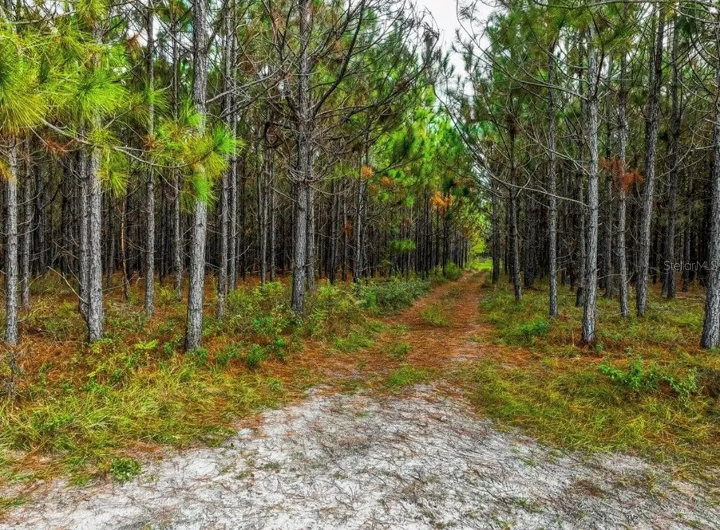 000 NW 78th Avenue Newberry FL 32669