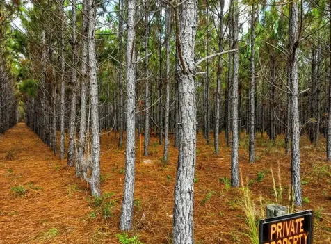 000 NW 78th Avenue Newberry FL 32669