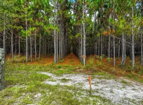 000 NW 78th Avenue Newberry FL 32669