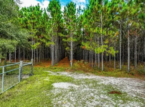 000 NW 78th Avenue Newberry FL 32669