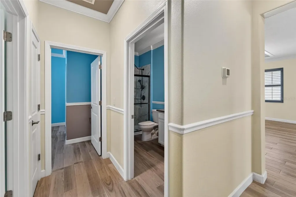 16830 Anchor Root Street Wimauma FL 33598