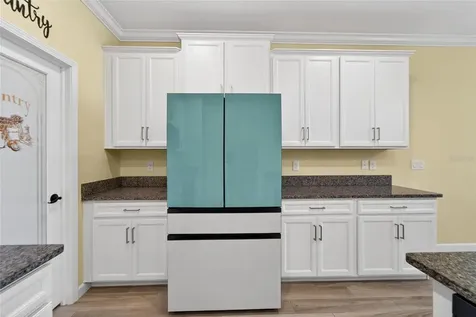 16830 Anchor Root Street Wimauma FL 33598